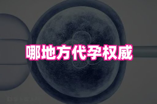 69助孕网 1